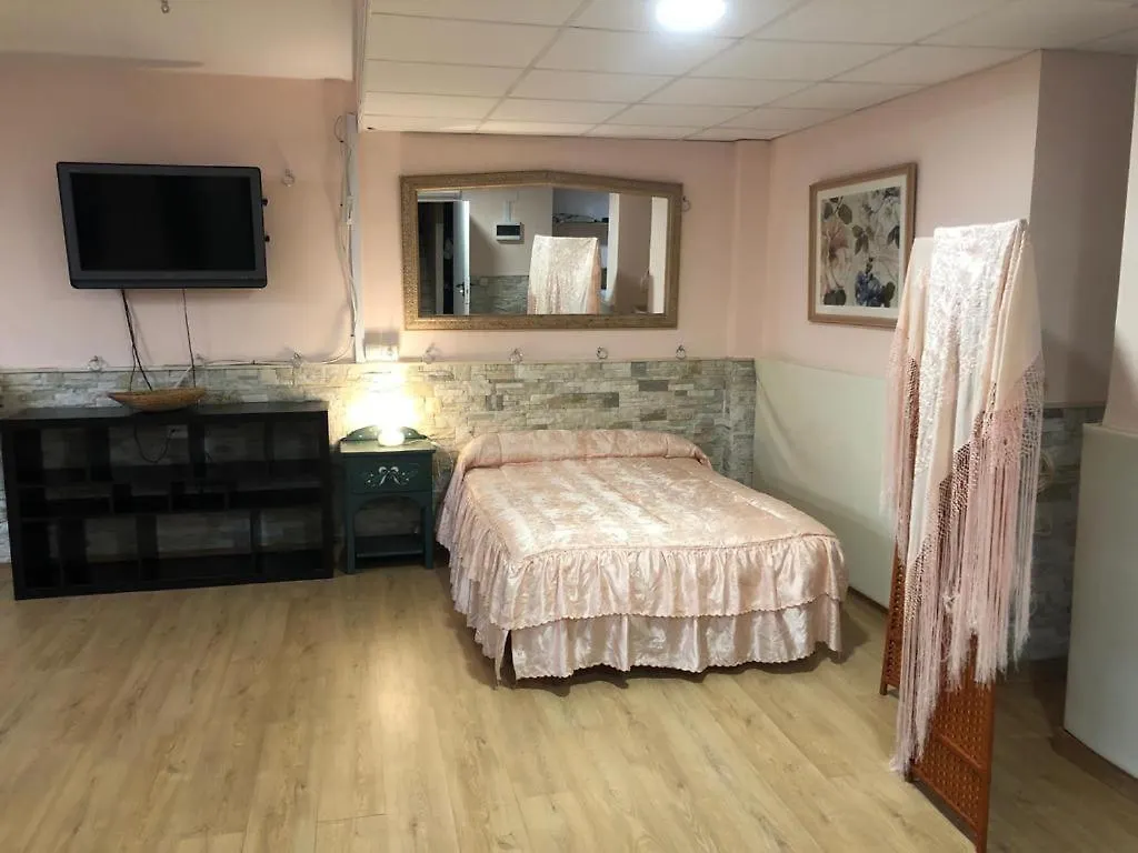 Ideal Loft Malaga Apartment Spain