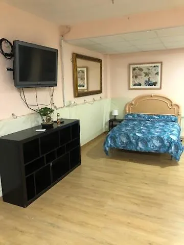 Ideal Loft Malaga Apartment Spain