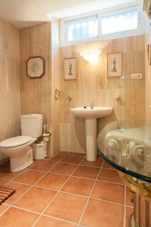 Ideal Loft Malaga Apartment Spain